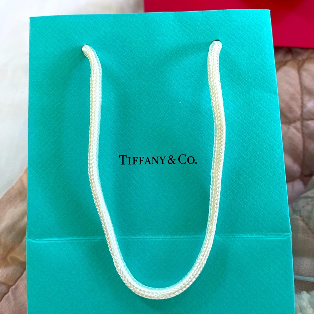 Tiffany & Co. small blue paper bag with pouch.
